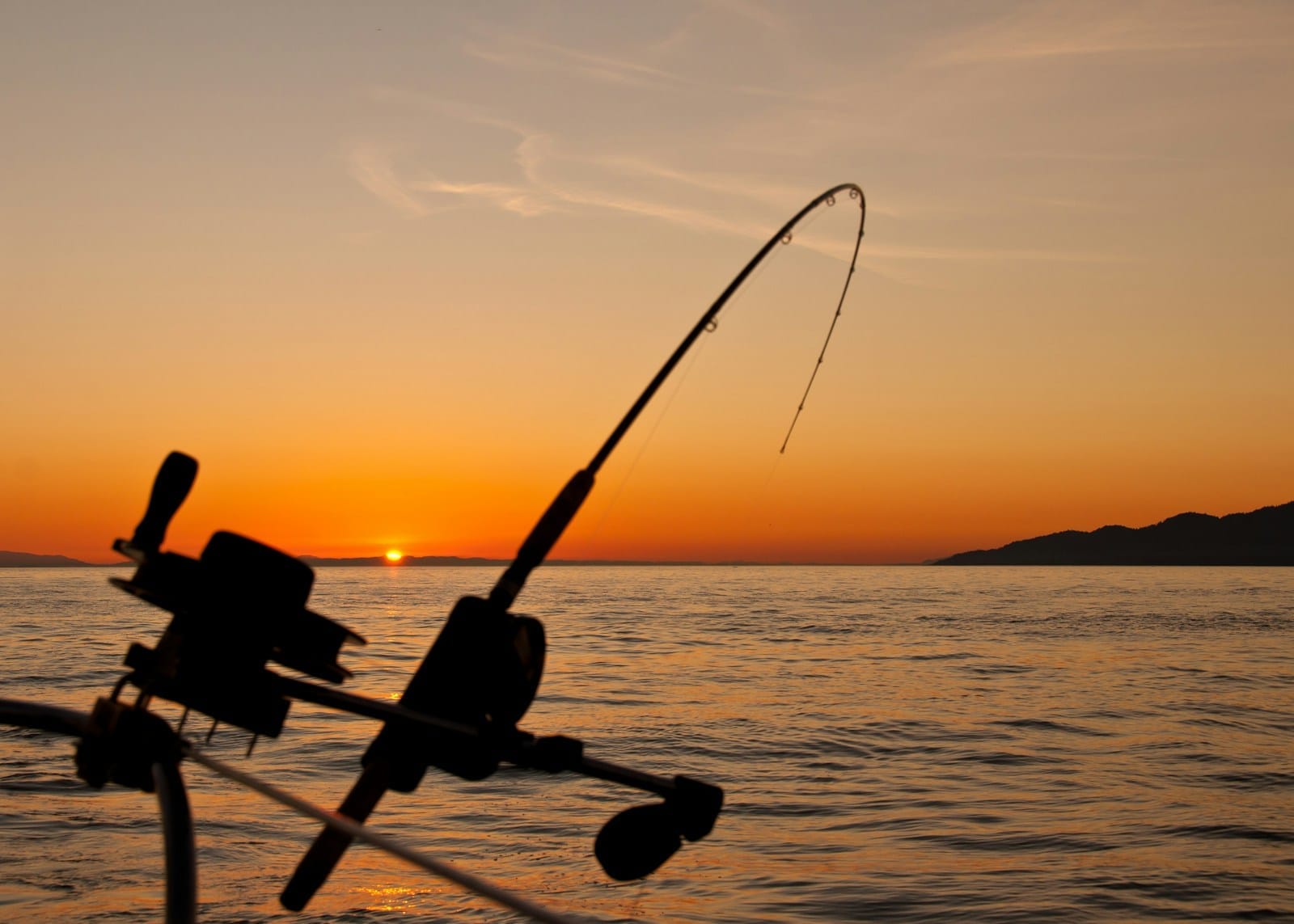 Best High-Performance Fishing Reels for Anglers Best High-Performance Fishing Reels for Anglers